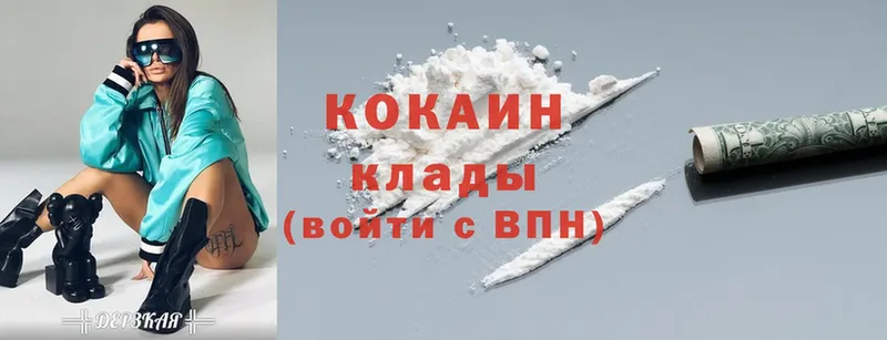 где найти наркотики  мега   Cocaine FishScale  Бирюсинск 