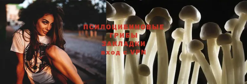 даркнет сайт  Бирюсинск  Псилоцибиновые грибы Psilocybine cubensis 